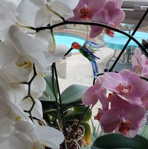 Meet your Posher, Lynn